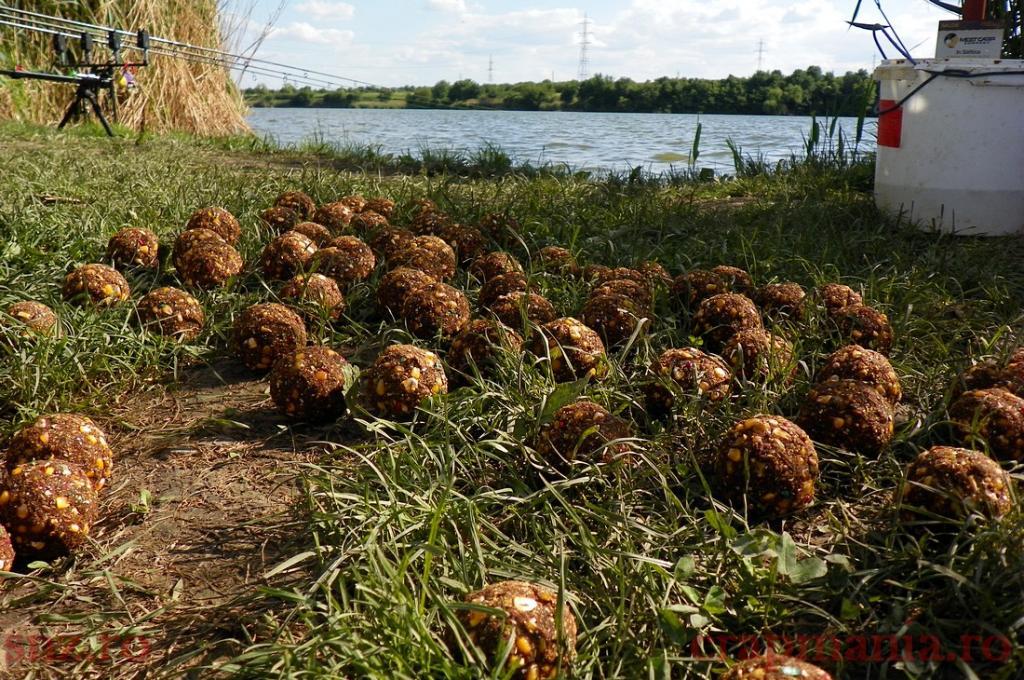 papa bun  - 1010340.jpg